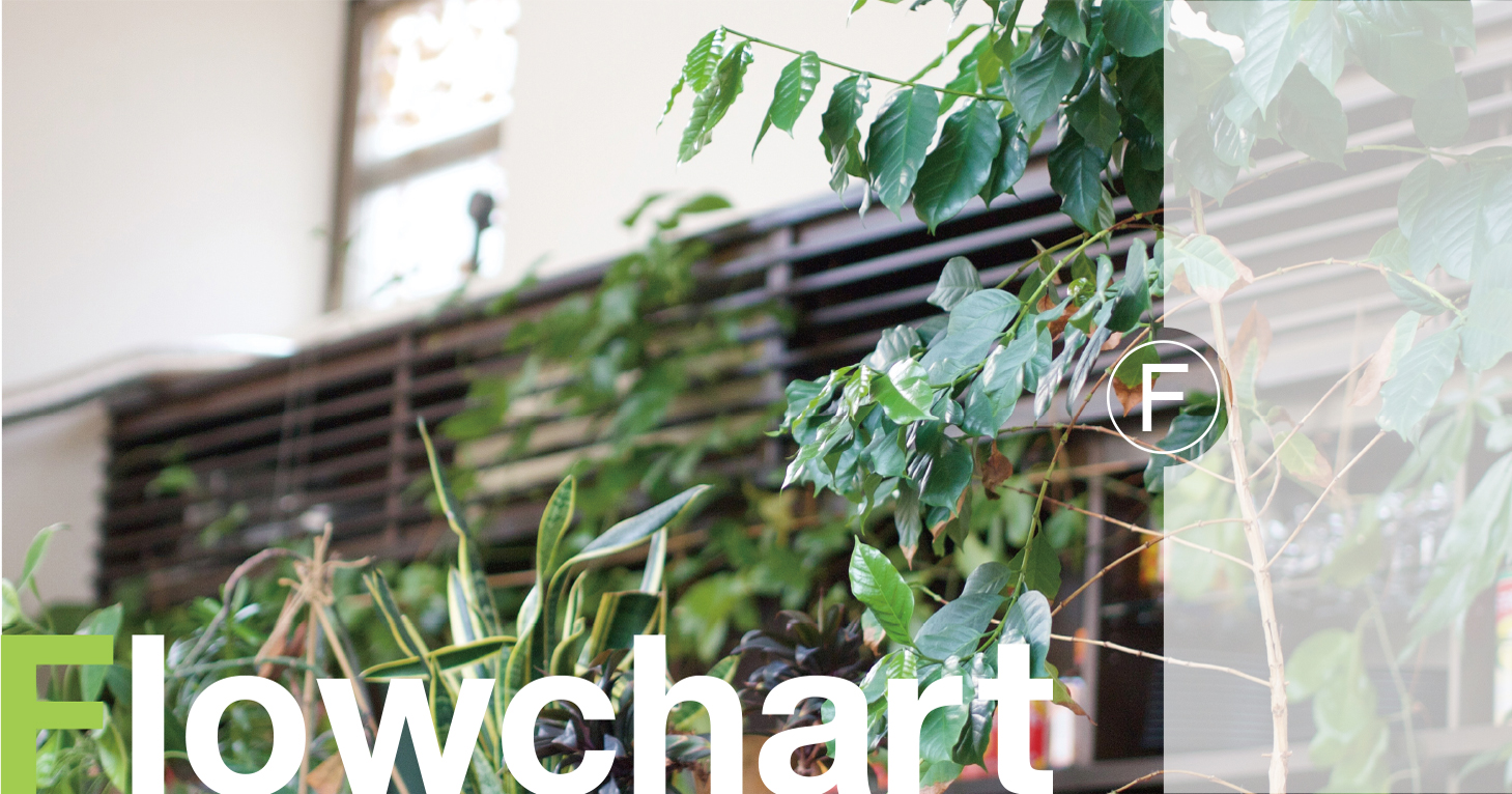 �������̗���